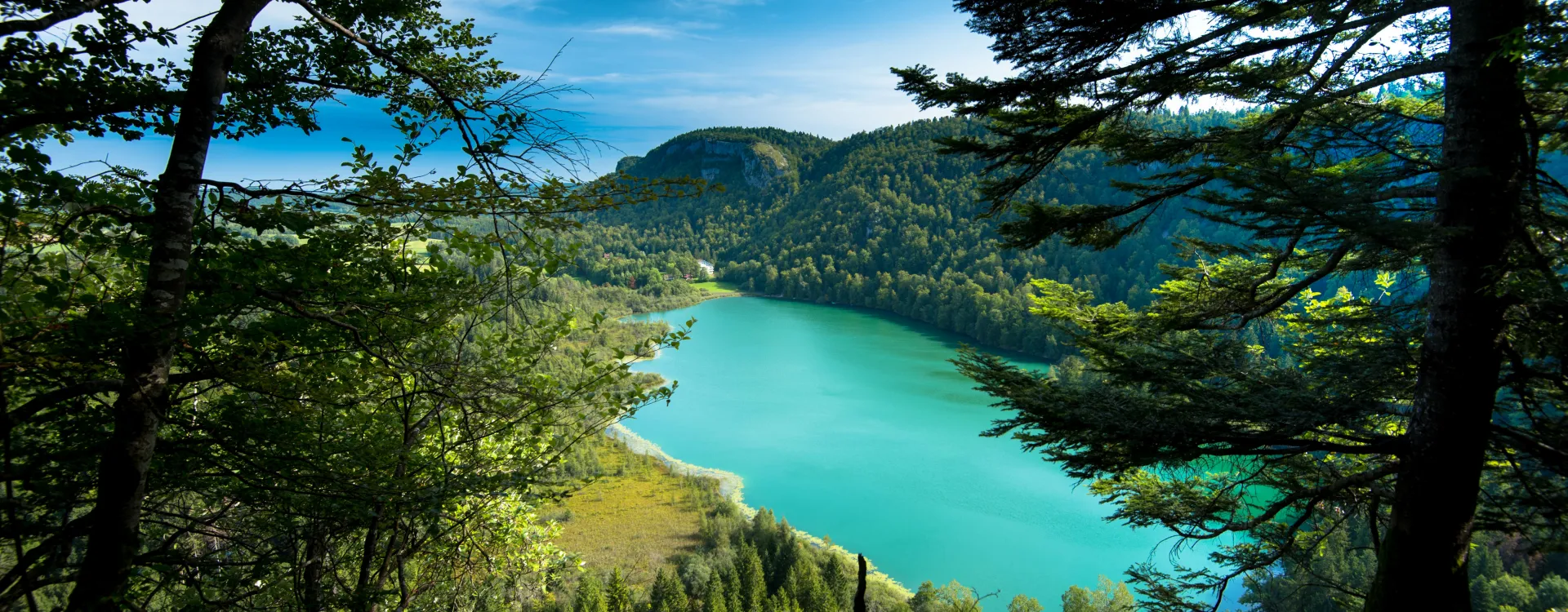 Lac et forêts du Jura